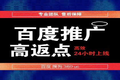 百度推广排名案例报告：某行业巨头如何运用其占领市场高地